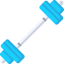 Dumbbells icon 64x64