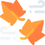 Windy 图标 64x64