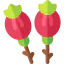 Rosehip 图标 64x64