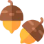 Acorn 图标 64x64