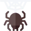 Spider 图标 64x64