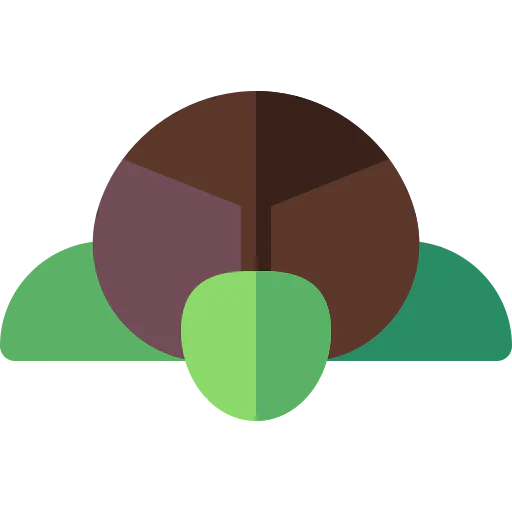 Turtle icon
