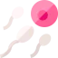 Fertilization icon 64x64