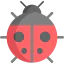 Ladybug іконка 64x64