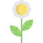 Flower Ikona 64x64