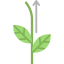 Plant 图标 64x64