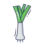 Leek icon 64x64