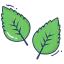 Kale icon 64x64