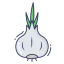 Garlic icon 64x64