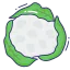 Cauliflower icon 64x64