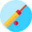 Cricket icône 64x64