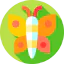Butterfly icône 64x64