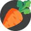 Carrot Ikona 64x64