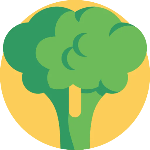 Broccoli icon