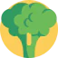 Broccoli icon 64x64