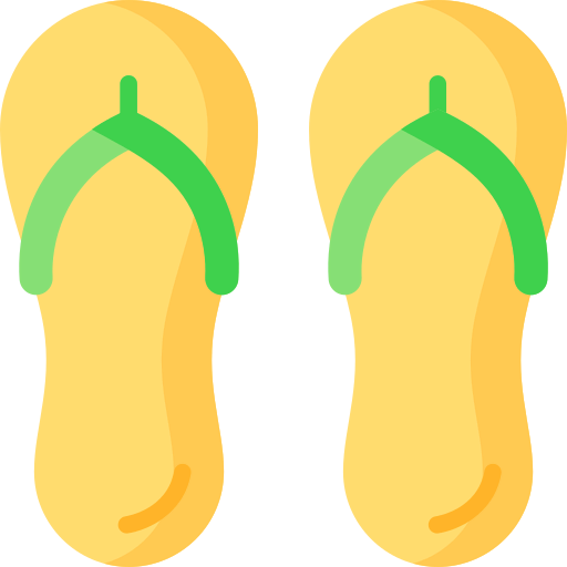 Flip flops icon