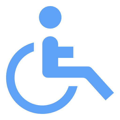 Disabled Ikona
