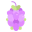 Grape icône 64x64