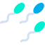 Sperm icon 64x64