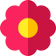 Flower アイコン 64x64
