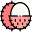 Rambutan icon 64x64