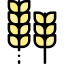 Wheat icon 64x64