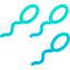 Sperm Sperm icon 64x64