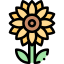 Sunflower 图标 64x64