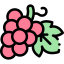 Grapes 图标 64x64
