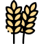 Wheat 图标 64x64
