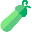 Zucchini icon 64x64