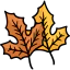 Maple leaf icon 64x64