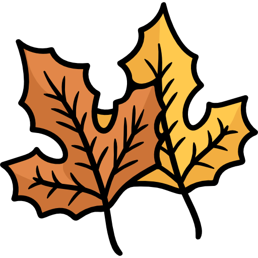 Maple leaf icon