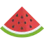 Watermelon icon 64x64