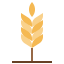 Barley icon 64x64