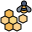 Honey 图标 64x64