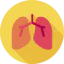 Lungs 图标 64x64