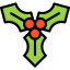 Mistletoe icon 64x64