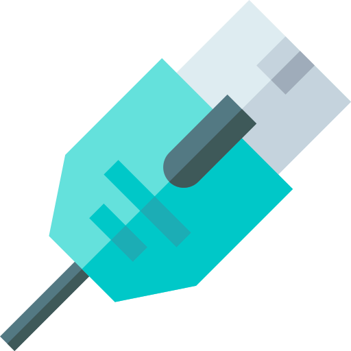 Lan icon