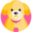 Puppy іконка 64x64