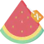 Watermelon Ikona 64x64