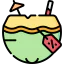 Coconut drink icon 64x64