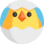 Chick icône 64x64