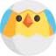 Chick 图标 64x64