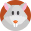 Rat ícono 64x64