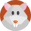 Rat icon 64x64