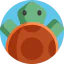 Turtle icon 64x64