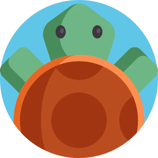 Turtle icon