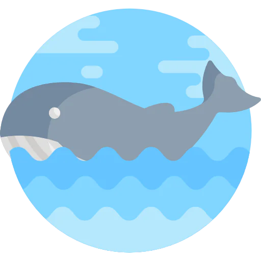 Whale icône
