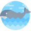 Whale ícono 64x64